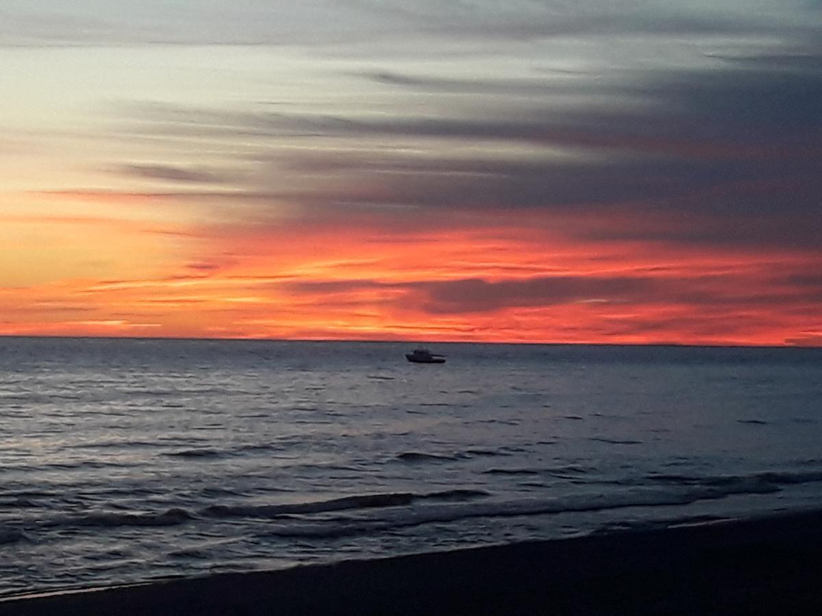Su Terasa Jaukus Apartamentas, Tik Vienas Palanga Bagian luar foto